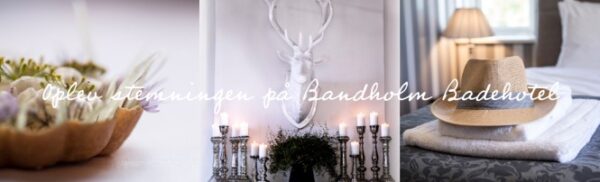 Gourmet & Champagne på Det Nye Bandholm Badehotel 2/12-2022